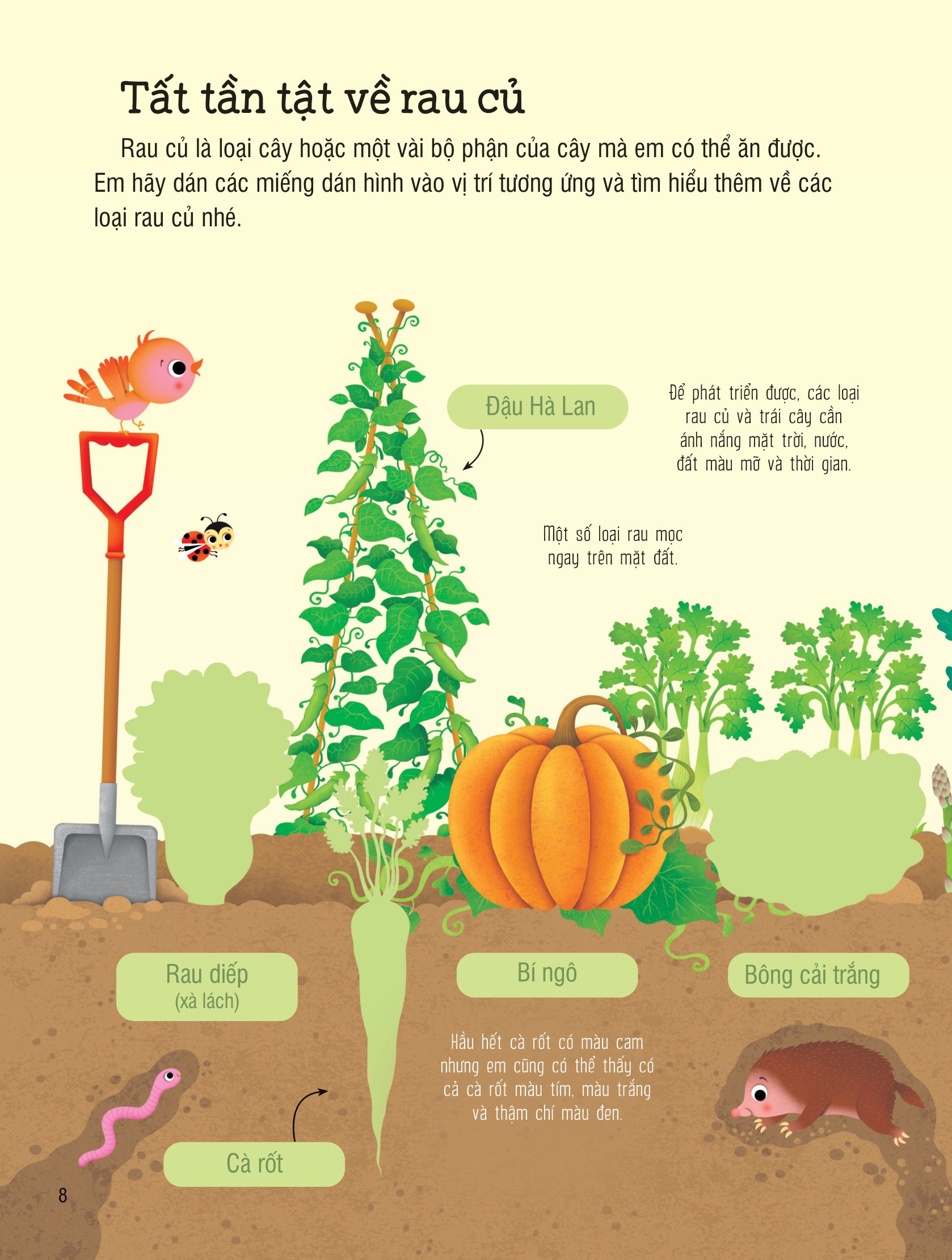 first sticker book - sách dán hình đầu đời cho bé - trái cây và rau củ - Ảnh 8