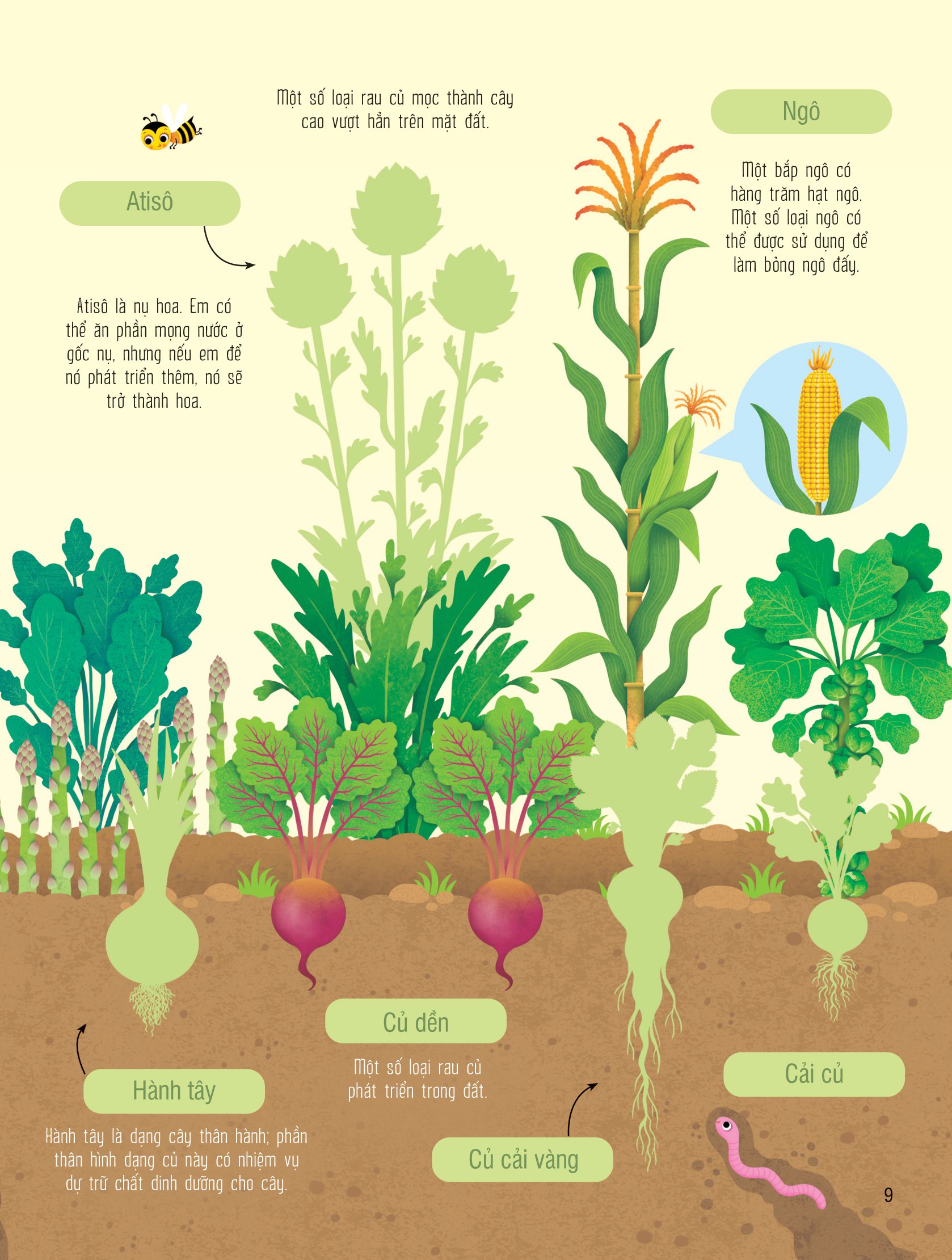 first sticker book - sách dán hình đầu đời cho bé - trái cây và rau củ - Ảnh 9