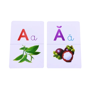 flash card glenn doman - thế giới quanh em - bảng chữ cái tiếng việt (tái bản 2023) - Ảnh 3