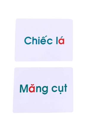 flash card glenn doman - thế giới quanh em - bảng chữ cái tiếng việt (tái bản 2023) - Ảnh 4