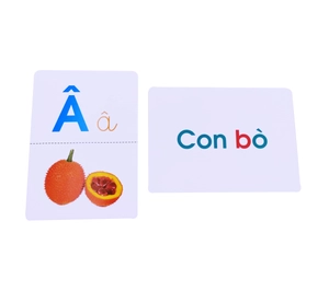 flash card glenn doman - thế giới quanh em - bảng chữ cái tiếng việt (tái bản 2023) - Ảnh 5