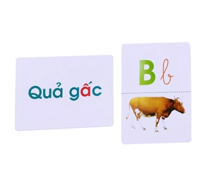 flash card glenn doman - thế giới quanh em - bảng chữ cái tiếng việt (tái bản 2023) - Ảnh 6
