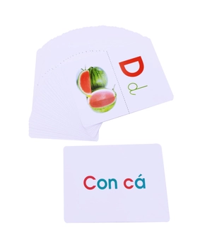 flash card glenn doman - thế giới quanh em - bảng chữ cái tiếng việt (tái bản 2023) - Ảnh 7