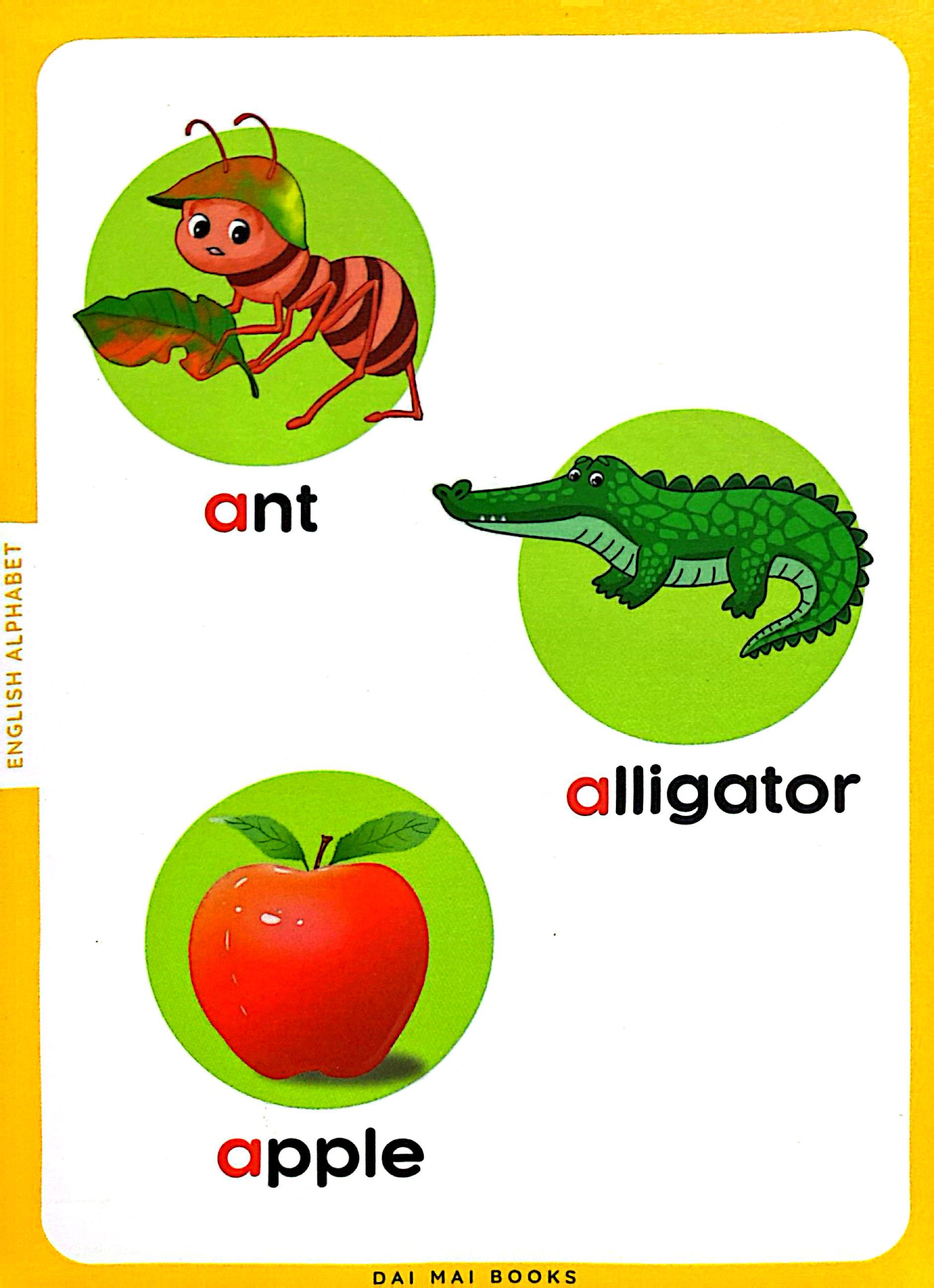 flash card - thẻ học thông minh theo phương pháp giáo dục sớm glenn doman - chữ cái tiếng anh - english alphabet - Ảnh 3