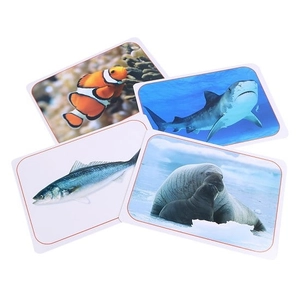 flash card thông minh - động vật biển - Ảnh 2