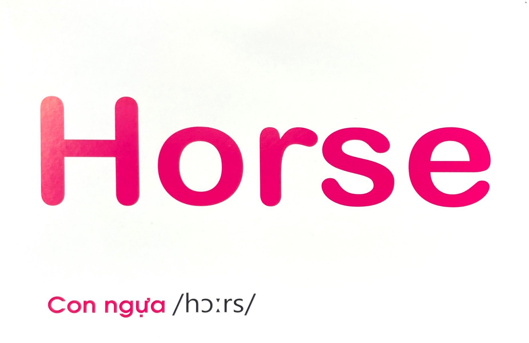 flash card tiếng anh - domestic animals (động vật nuôi) (tái bản 2023) - Ảnh 4