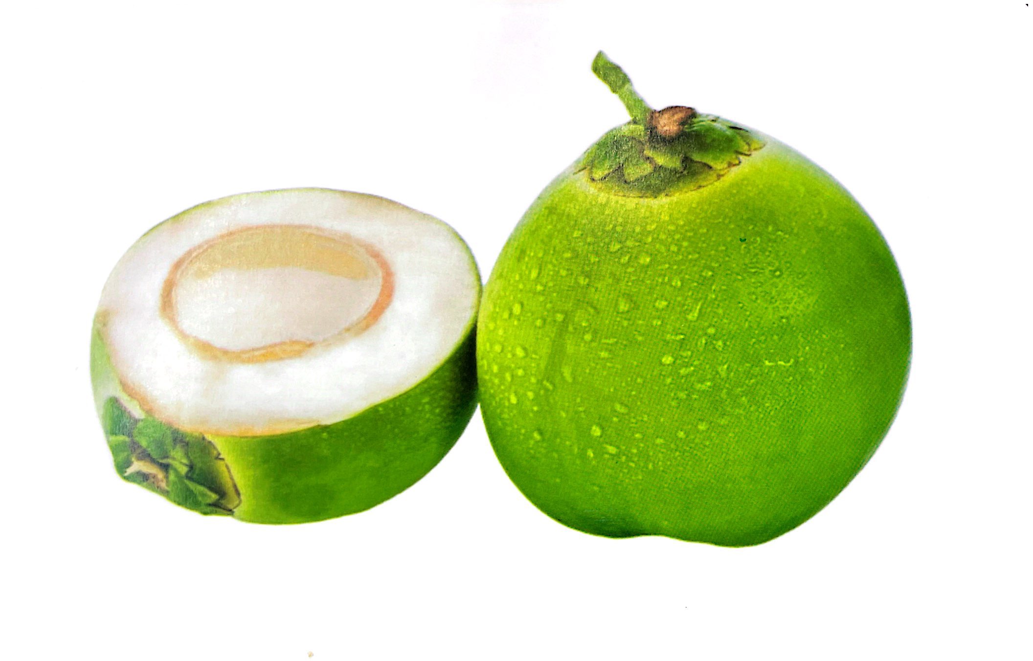 flash card tiếng anh - fruit (trái cây) (tái bản 2023) - Ảnh 8