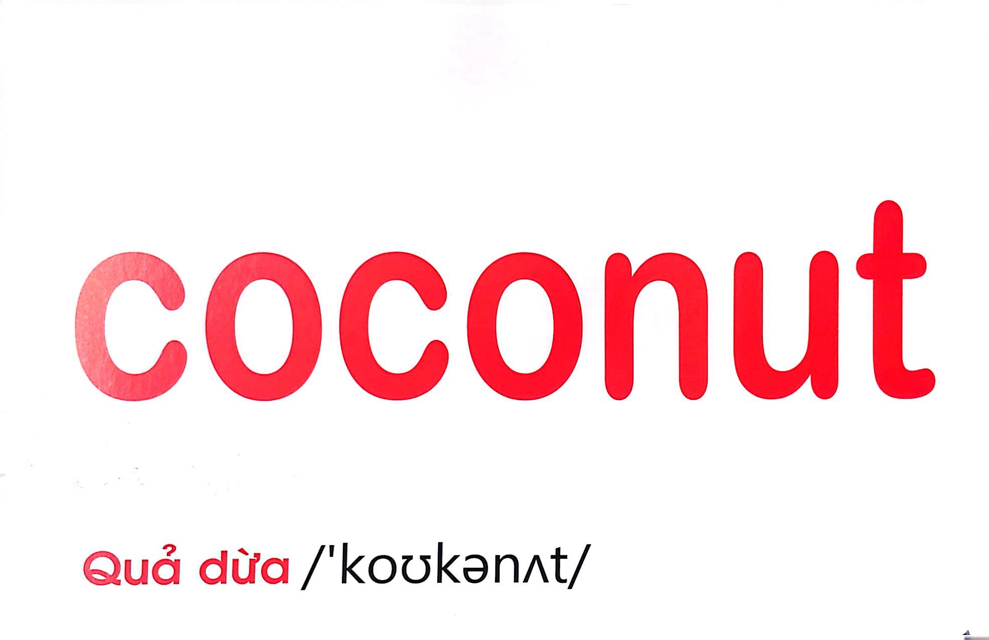 flash card tiếng anh - fruit (trái cây) (tái bản 2023) - Ảnh 9