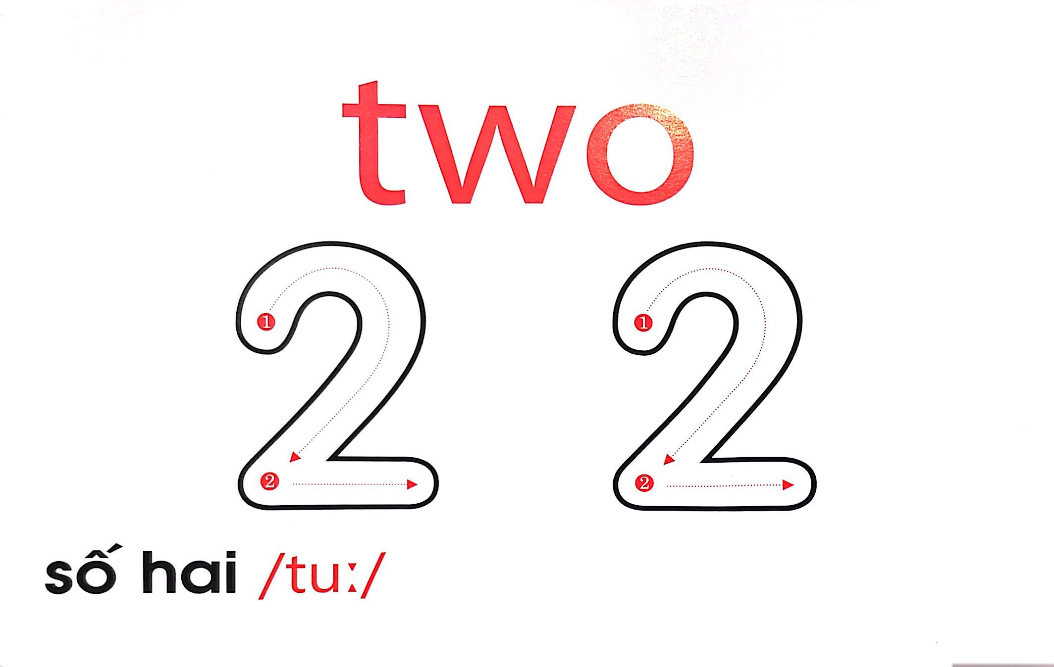 flash card tiếng anh - number (số đếm) (tái bản 2023) - Ảnh 6