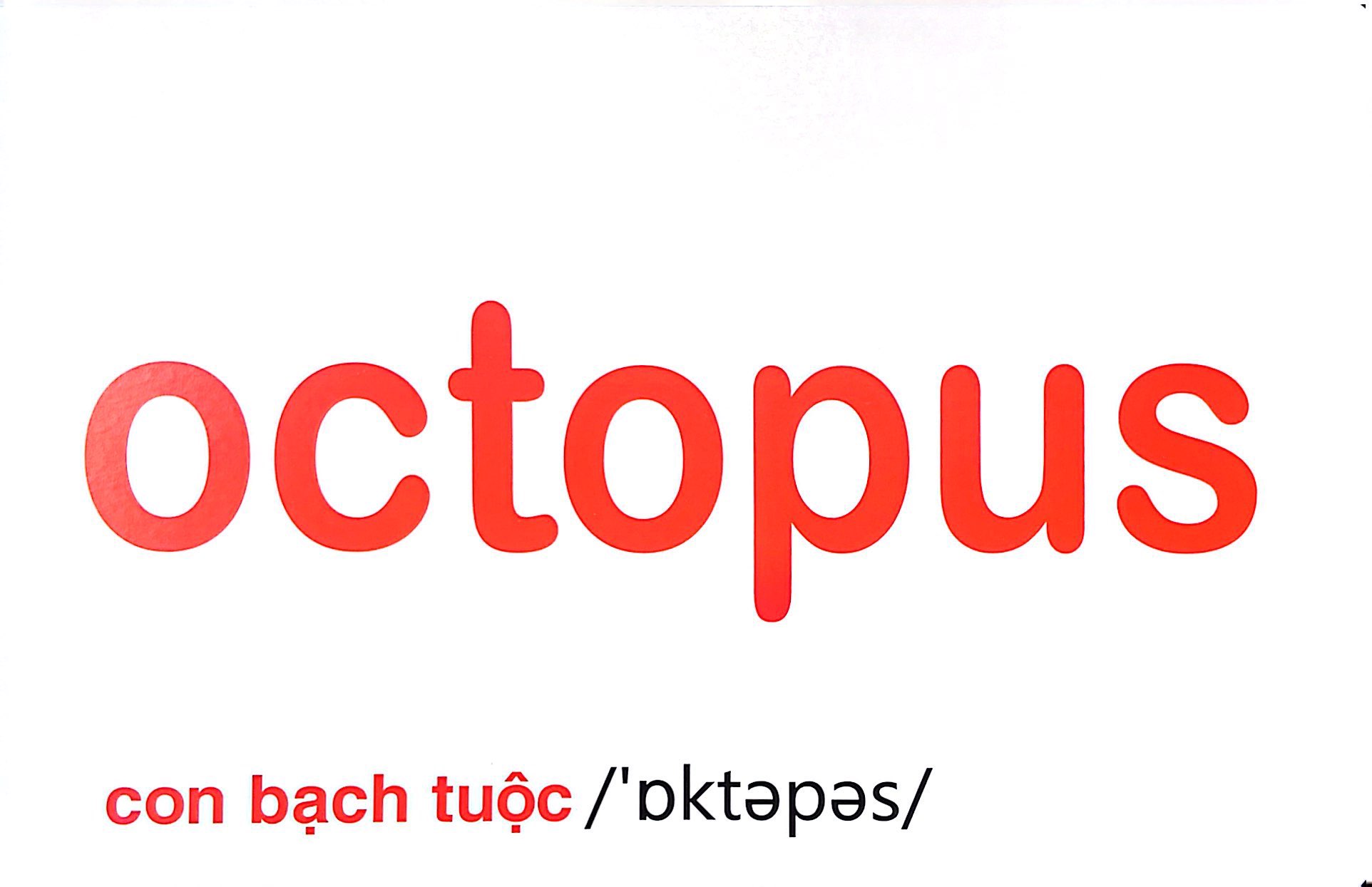 flash card tiếng anh - sea animals (động vật biển) (tái bản 2023) - Ảnh 8