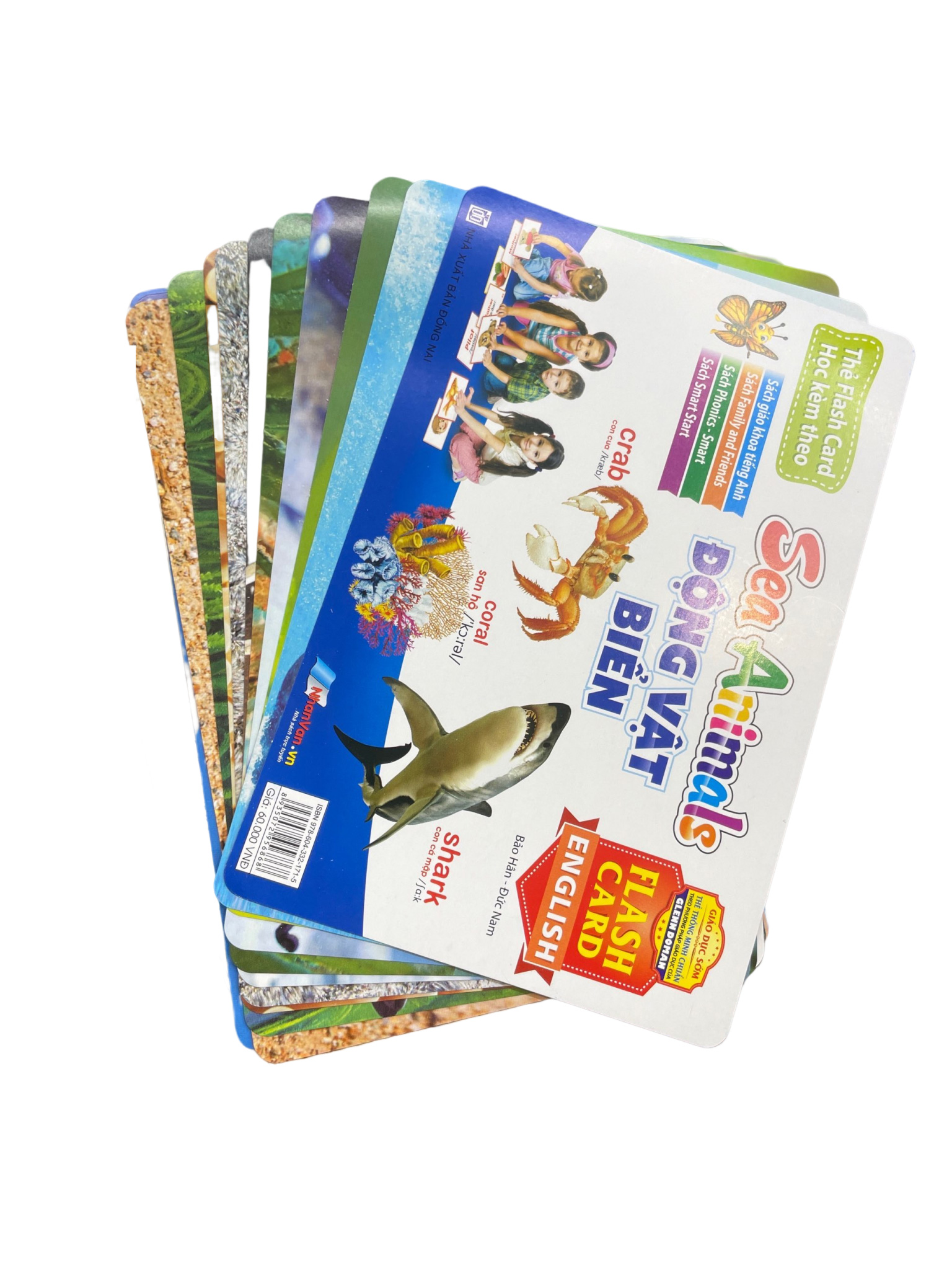 flash card tiếng anh - sea animals (động vật biển) (tái bản 2023) - Ảnh 9