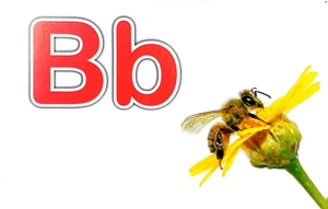 flash card tiếng anh -the english alphabet (bảng chữ cái tiếng anh) (tái bản 2023) - Ảnh 6