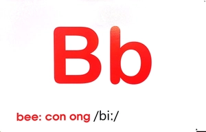 flash card tiếng anh -the english alphabet (bảng chữ cái tiếng anh) (tái bản 2023) - Ảnh 7