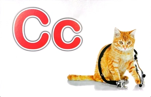 flash card tiếng anh -the english alphabet (bảng chữ cái tiếng anh) (tái bản 2023) - Ảnh 8