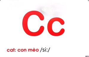 flash card tiếng anh -the english alphabet (bảng chữ cái tiếng anh) (tái bản 2023) - Ảnh 9