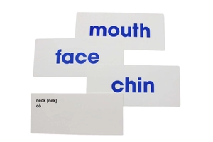 flash card tiếng anh - từ đơn giản - Ảnh 6