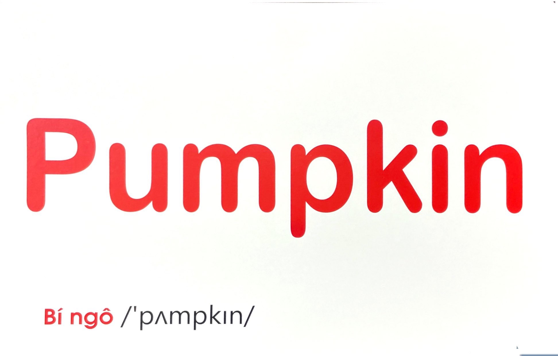 flash card tiếng anh - vegetable (rau củ quả) (tái bản 2023) - Ảnh 4