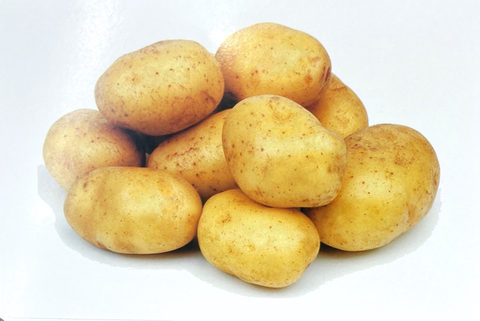 flash card tiếng anh - vegetable (rau củ quả) (tái bản 2023) - Ảnh 7