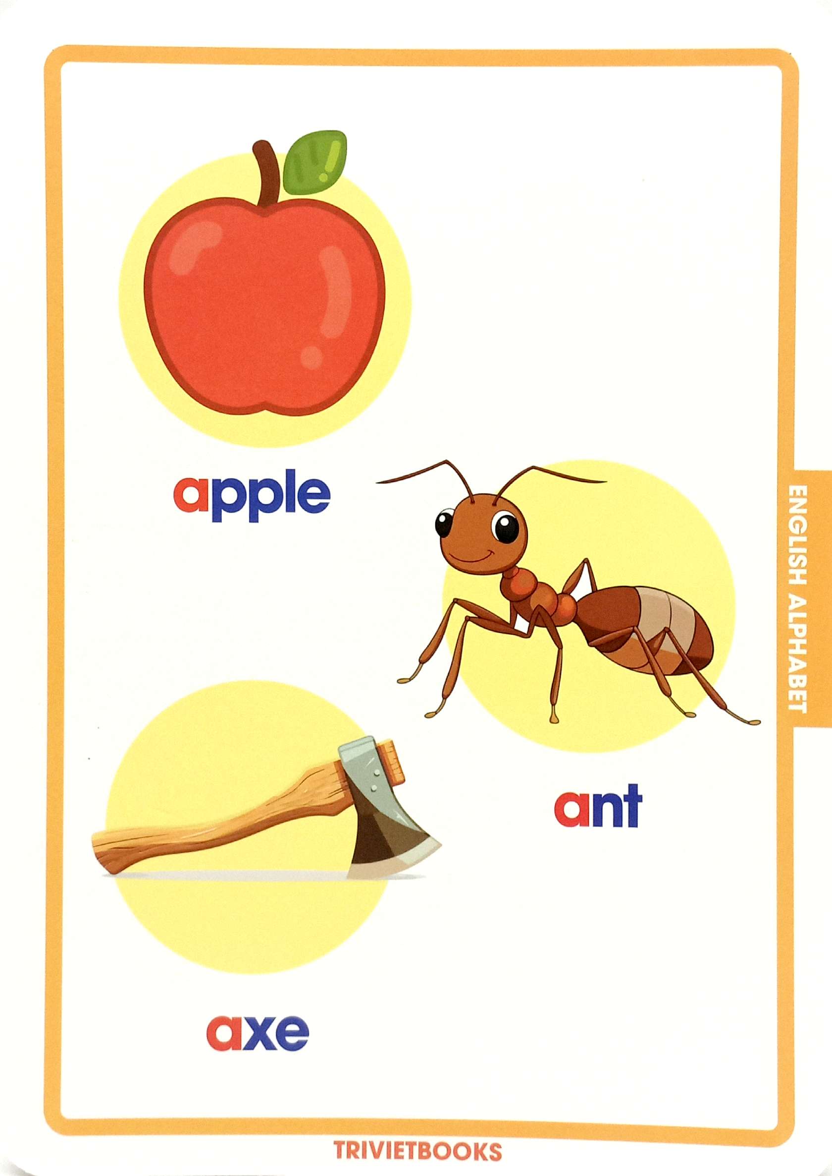 flashcard bảng chữ cái tiếng anh - english alphabet - Ảnh 5