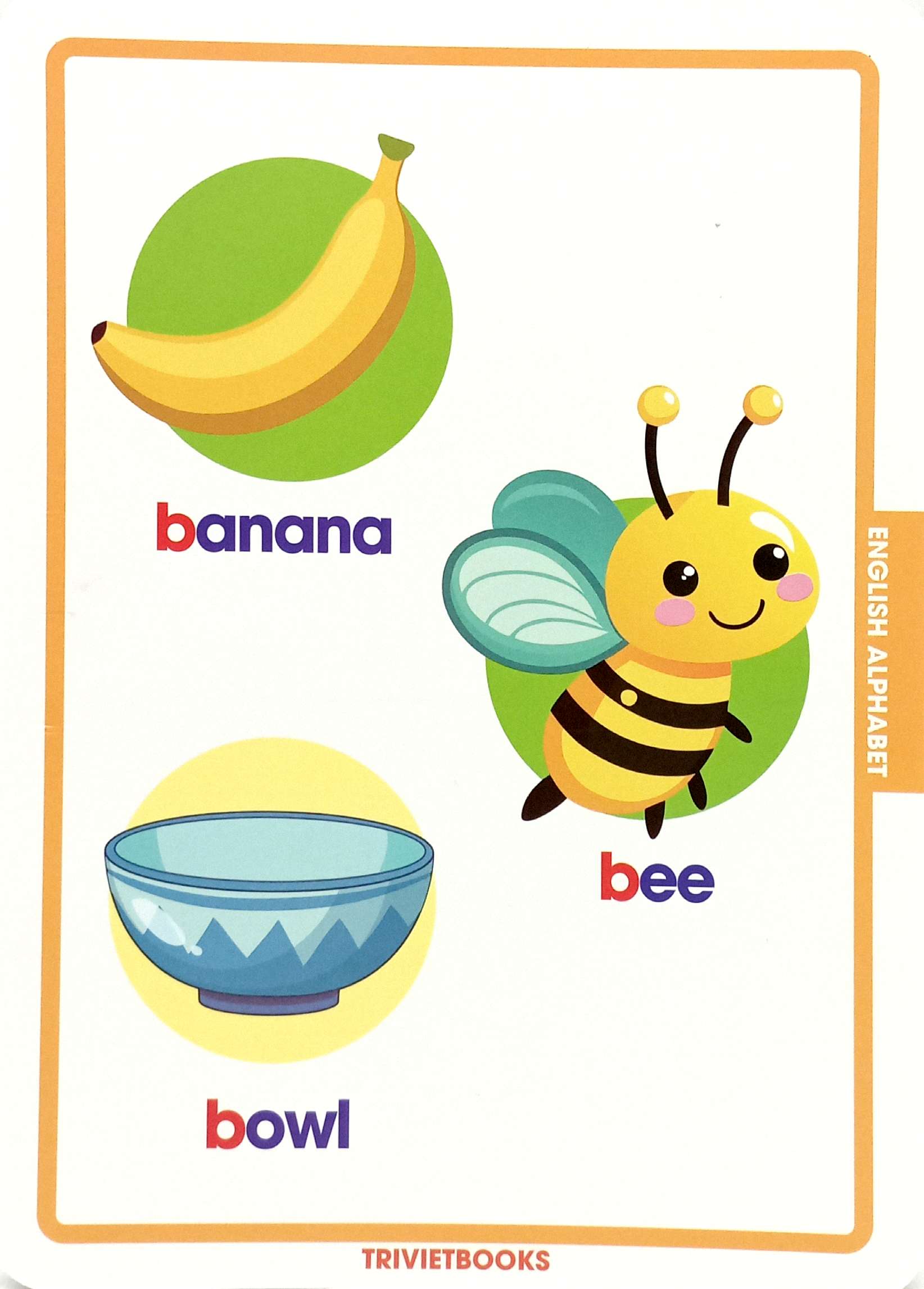 flashcard bảng chữ cái tiếng anh - english alphabet - Ảnh 7