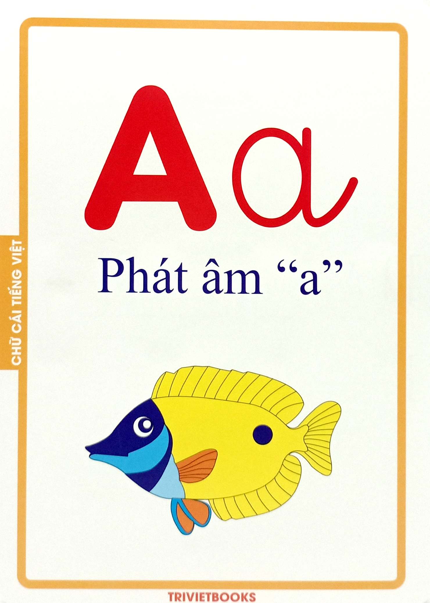 flashcard bảng chữ cái tiếng việt - Ảnh 4