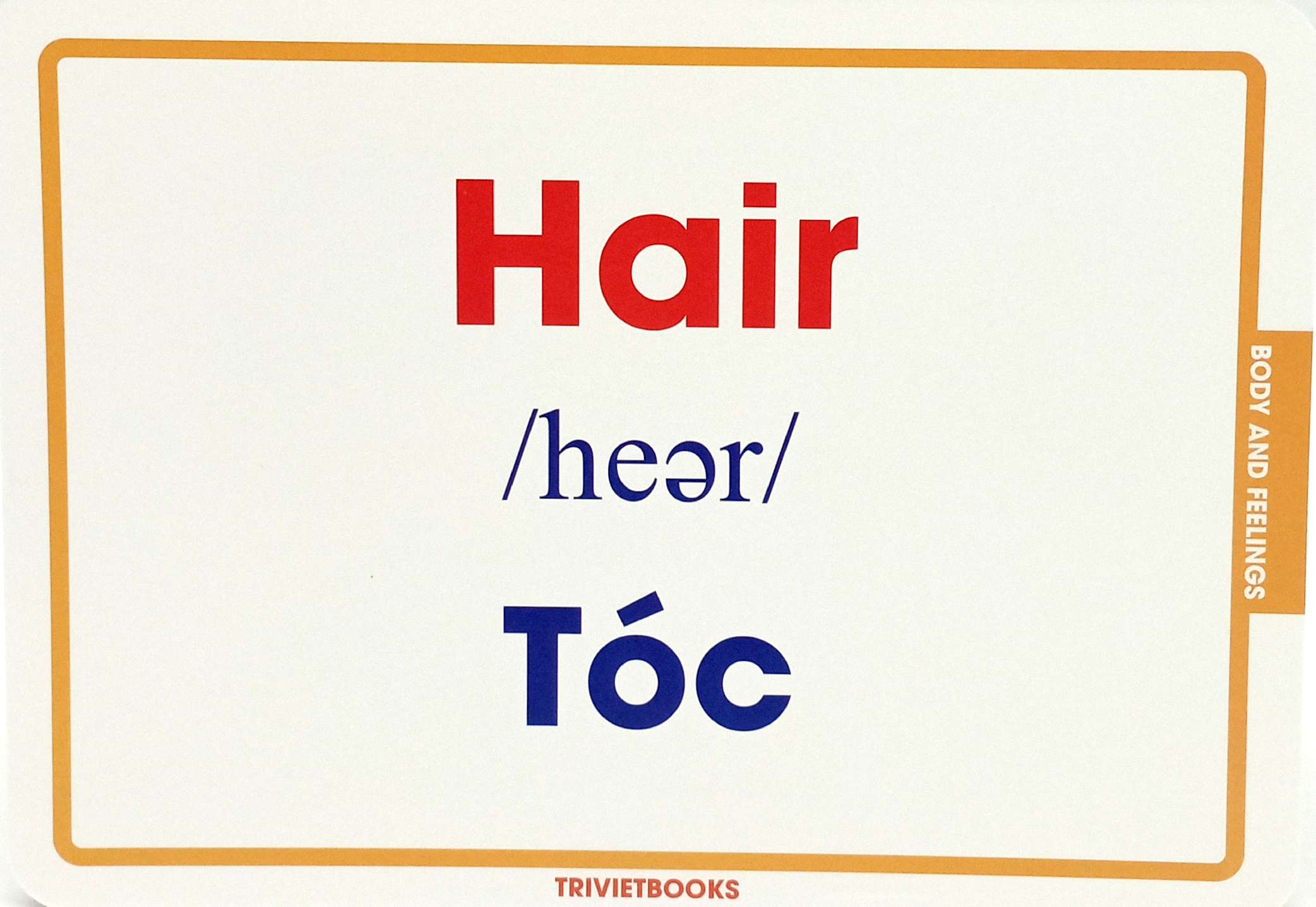 flashcard cơ thể và cảm xúc - body and feelings - Ảnh 5