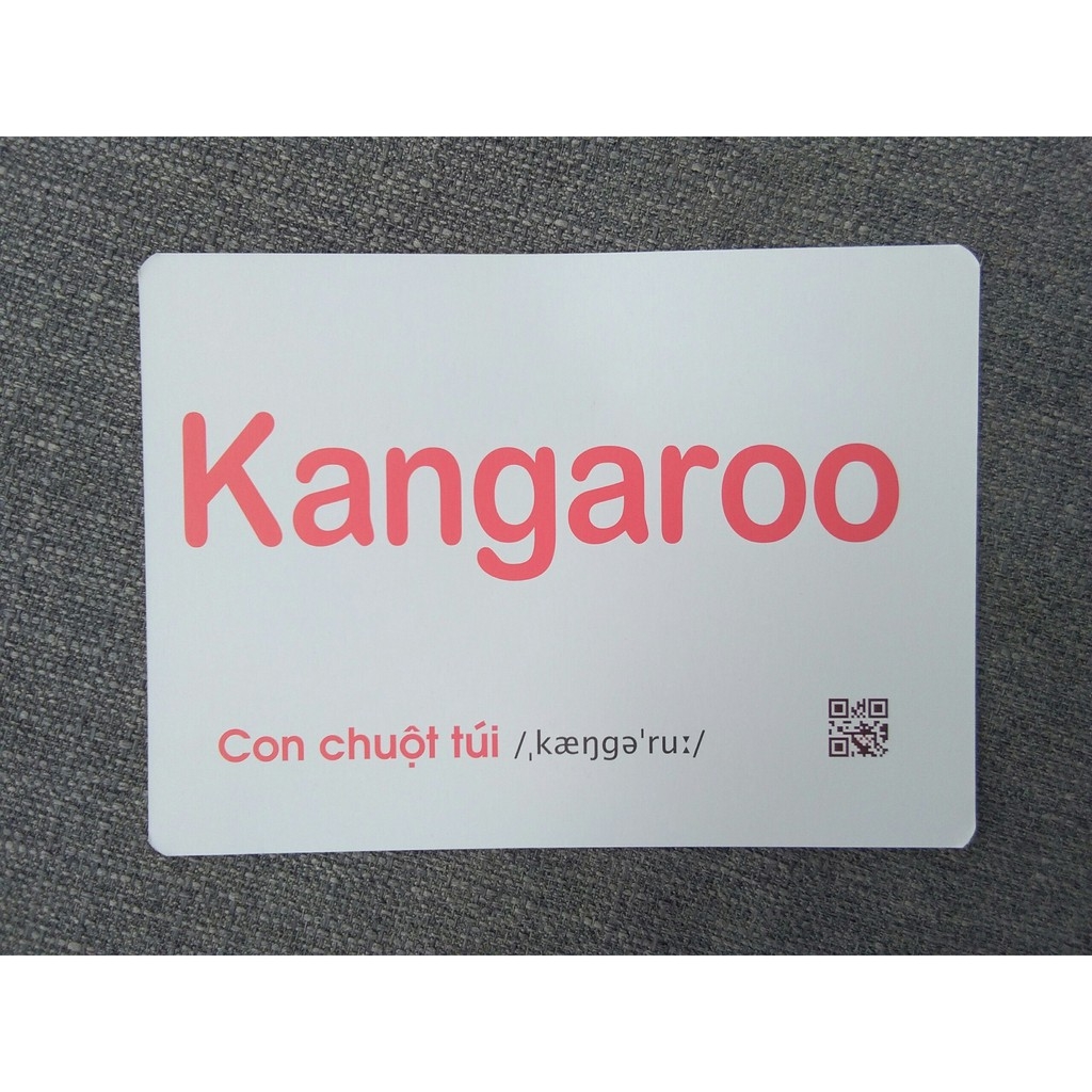 flashcard dạy trẻ theo phương pháp glenn doman - động vật hoang dã - Ảnh 3