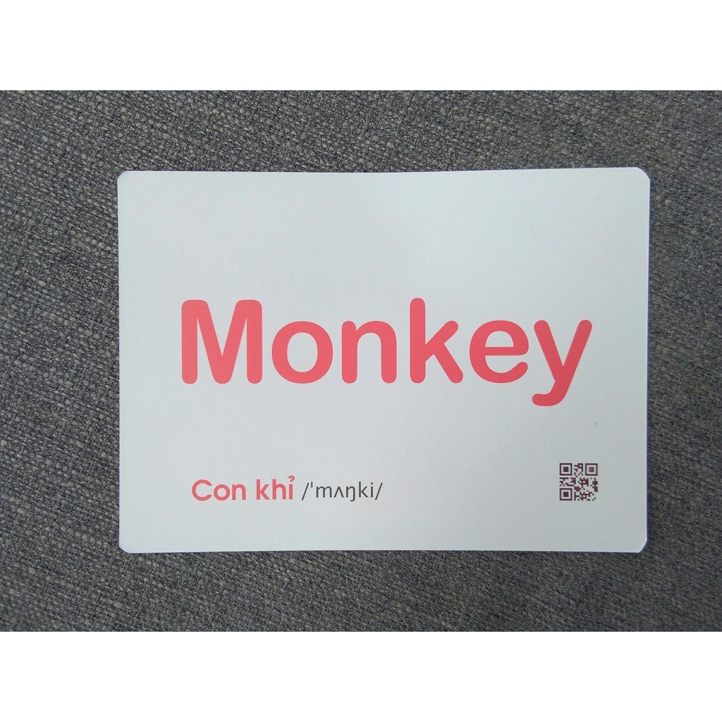 flashcard dạy trẻ theo phương pháp glenn doman - động vật hoang dã - Ảnh 5