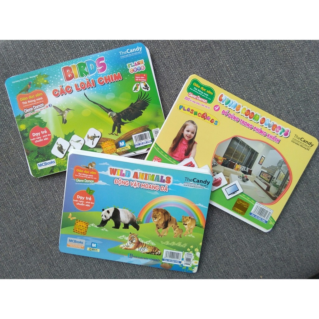 flashcard dạy trẻ theo phương pháp glenn doman - động vật hoang dã - Ảnh 6