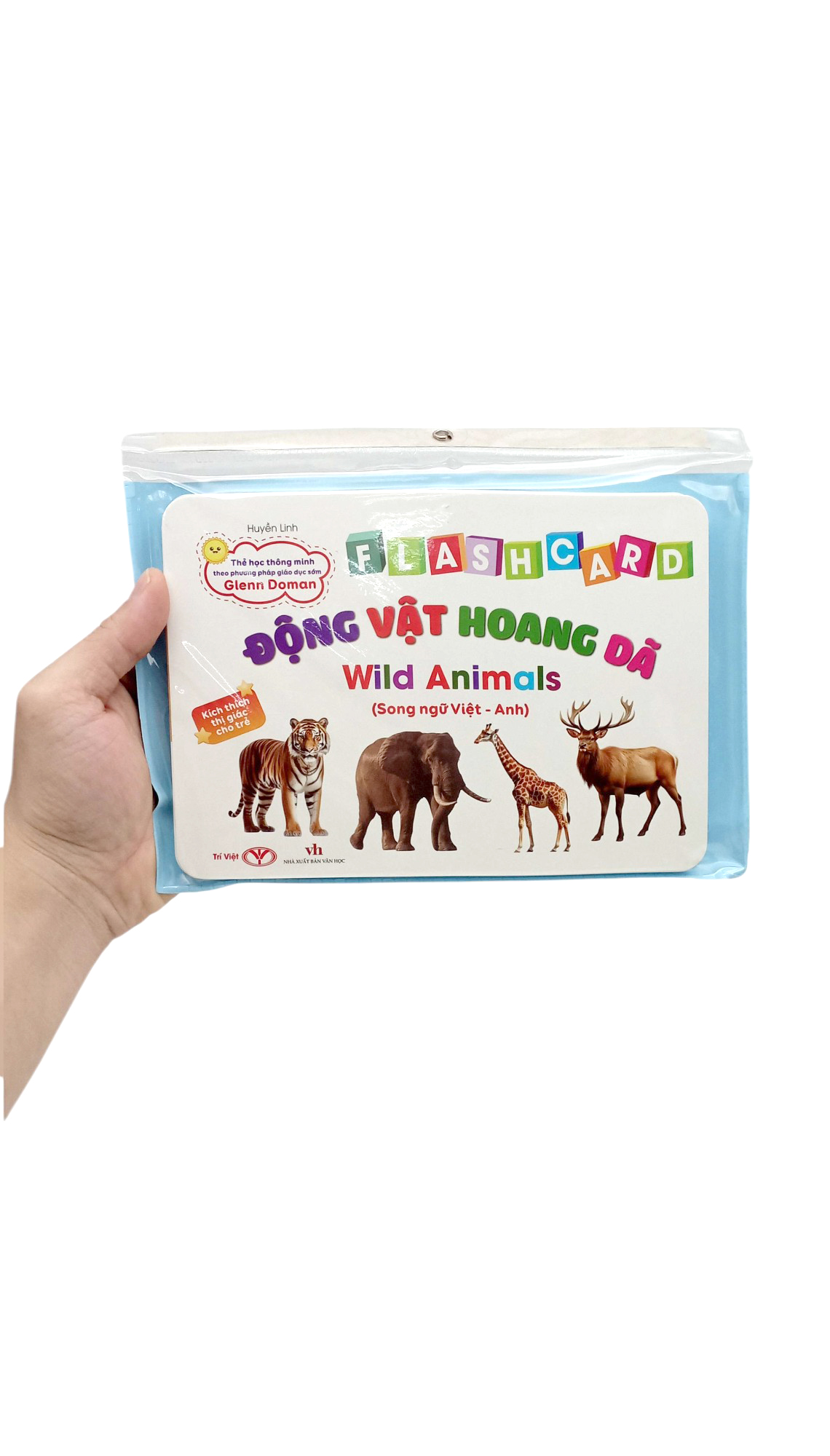 flashcard động vật hoang dã - wild animals - Ảnh 2
