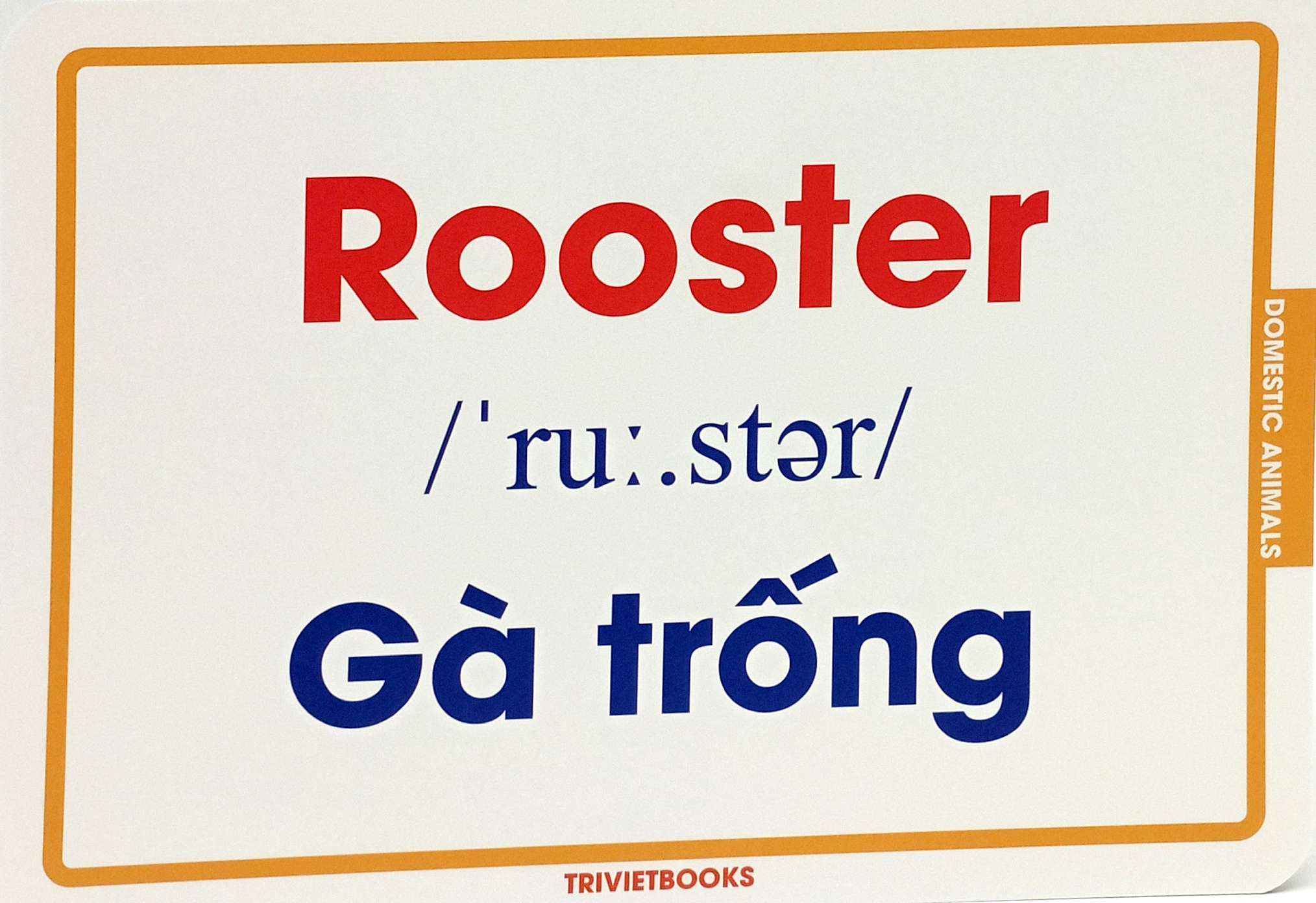 flashcard động vật nuôi - domestic animals - Ảnh 4