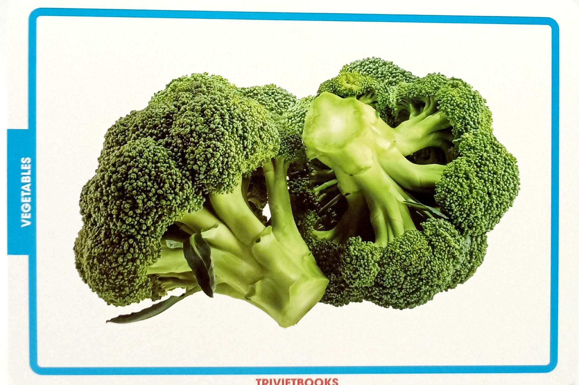 flashcard rau củ quả - vegetables - Ảnh 6