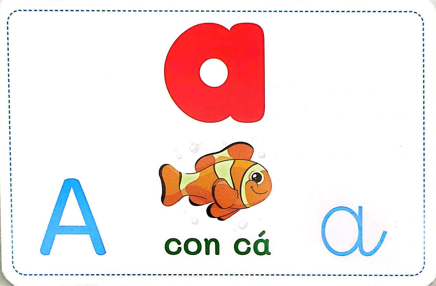 Flashcard Thong Minh - Chu Cai-Am-Van Chuan Tieu Hoc - Bo The Hoc Tieng Viet Som Theo Phuong Phap Glenn Doman - Ảnh 3