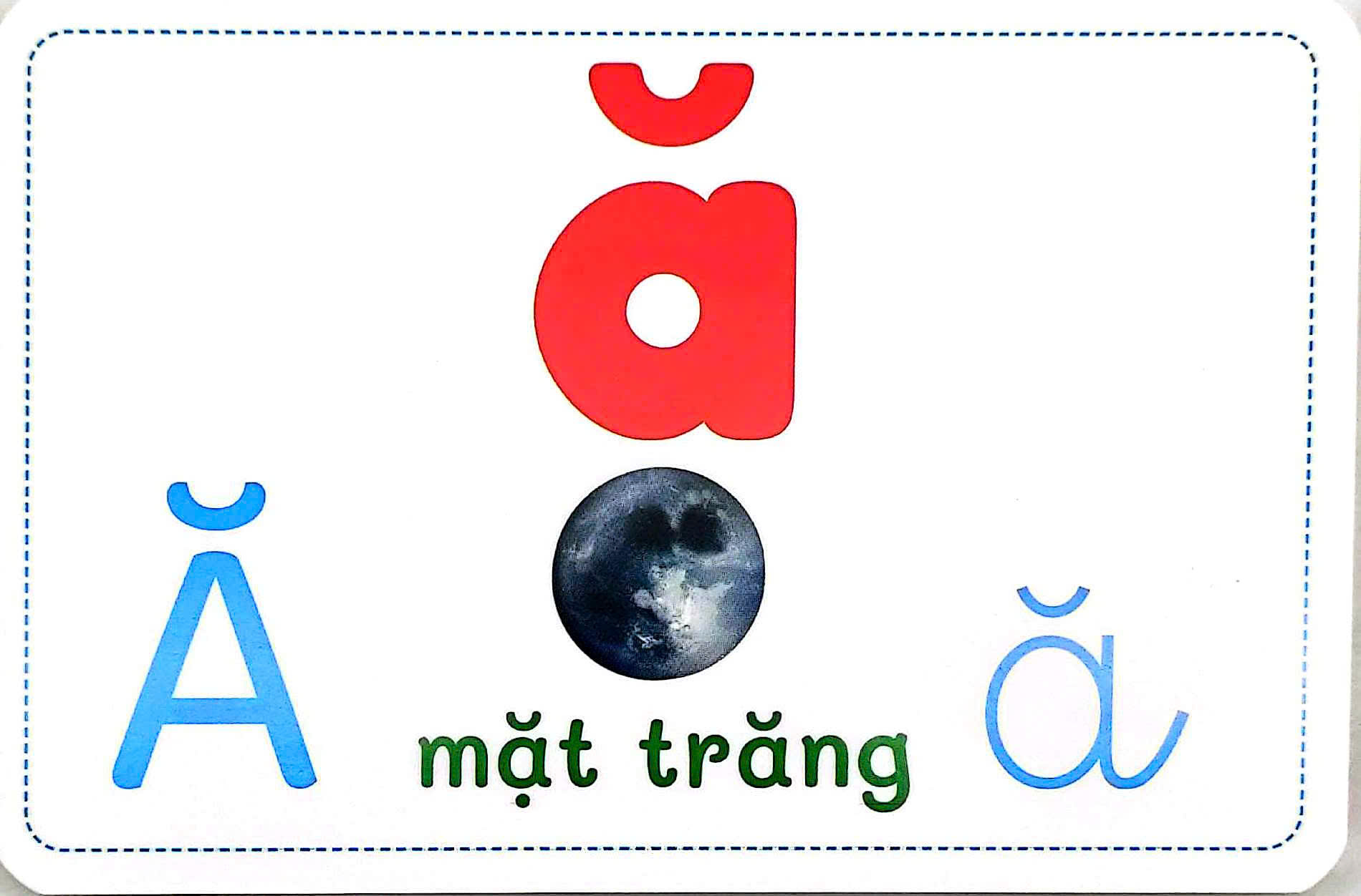 Flashcard Thong Minh - Chu Cai-Am-Van Chuan Tieu Hoc - Bo The Hoc Tieng Viet Som Theo Phuong Phap Glenn Doman - Ảnh 5