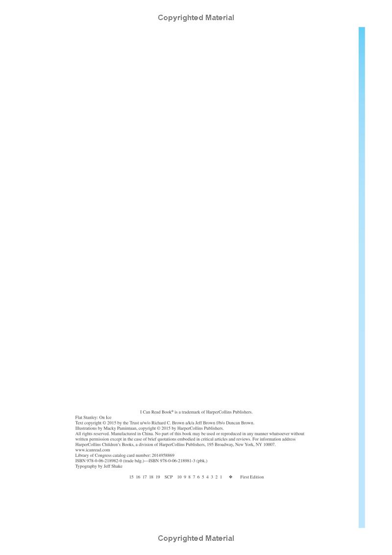 Flat Stanley - On Ice - Ảnh 4