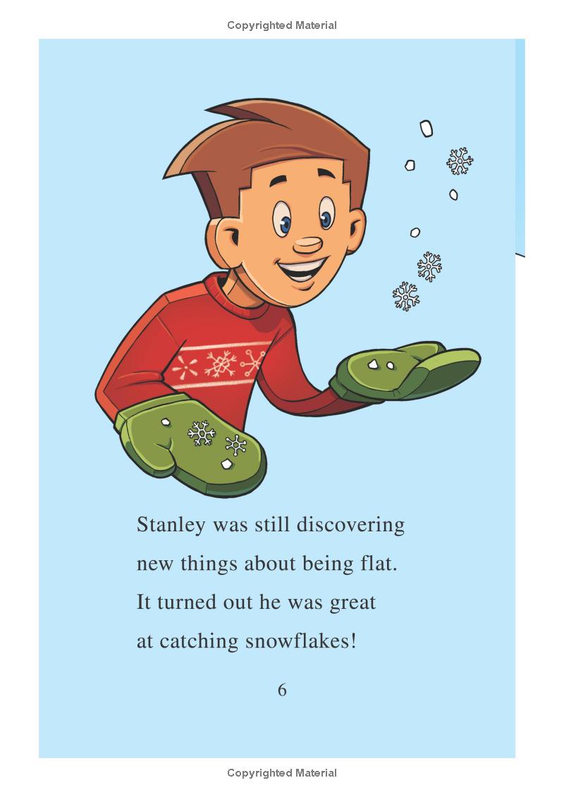 Flat Stanley - On Ice - Ảnh 8