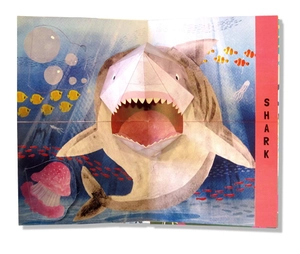 flip flap snap - ocean - Ảnh 3