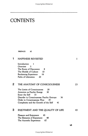 flow: the psychology of optimal experience - Ảnh 5