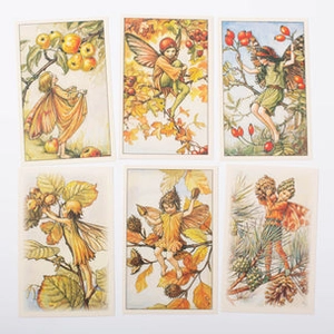 flower fairies one hundred postcards - Ảnh 4