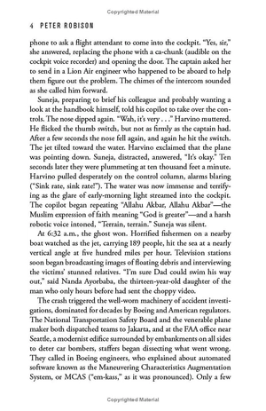 flying blind - Ảnh 5