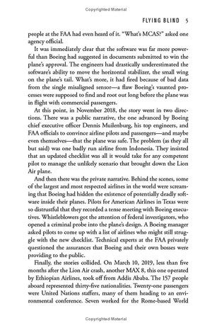 flying blind - Ảnh 6