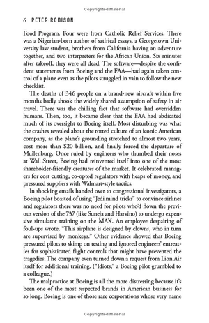 flying blind - Ảnh 7