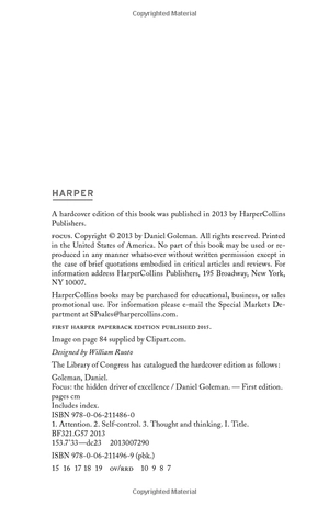 focus: the hidden driver of excellence - Ảnh 4