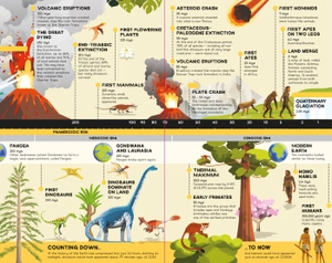 fold-out timeline of planet earth - Ảnh 4
