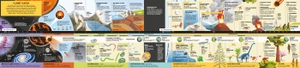 fold-out timeline of planet earth - Ảnh 5
