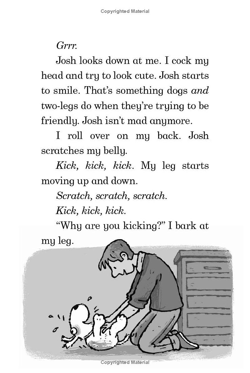 Follow That Furball - Ảnh 8