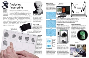 forensic science - Ảnh 3