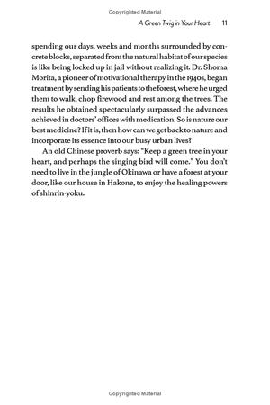 forest bathing: the rejuvenating practice of shinrin yoku - Ảnh 10