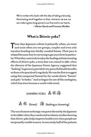 forest bathing: the rejuvenating practice of shinrin yoku - Ảnh 12