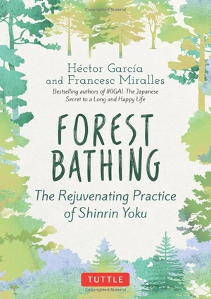 forest bathing: the rejuvenating practice of shinrin yoku - Ảnh 2
